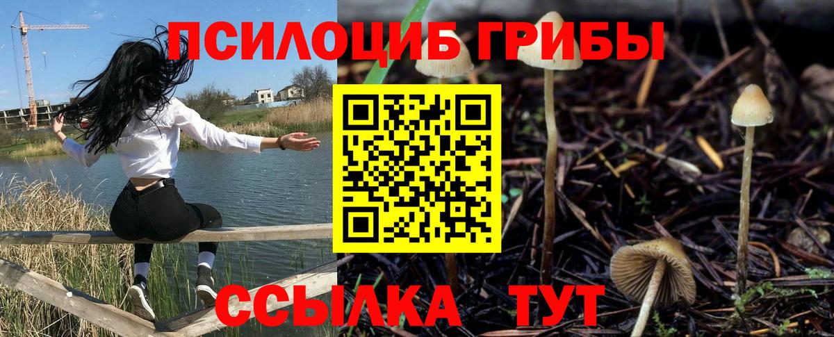 Псилоцибиновые грибы Cubensis Лянтор