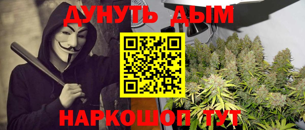 Конопля план Лянтор